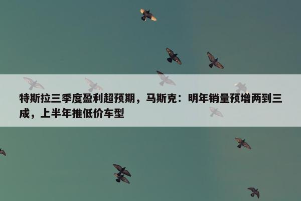 特斯拉三季度盈利超预期，马斯克：明年销量预增两到三成，上半年推低价车型