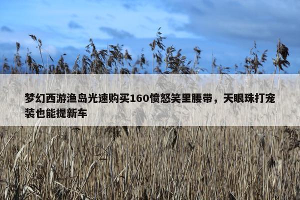 梦幻西游渔岛光速购买160愤怒笑里腰带，天眼珠打宠装也能提新车