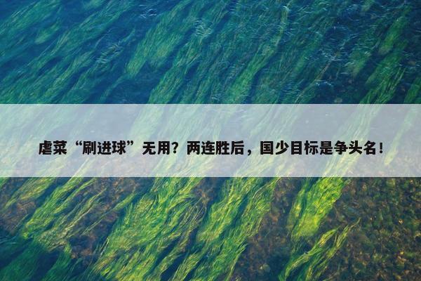 虐菜“刷进球”无用？两连胜后，国少目标是争头名！