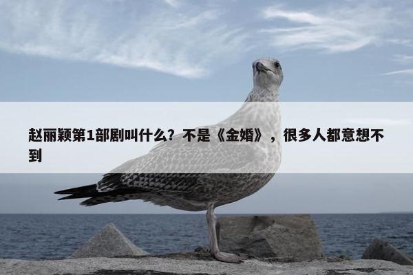 赵丽颖第1部剧叫什么？不是《金婚》，很多人都意想不到