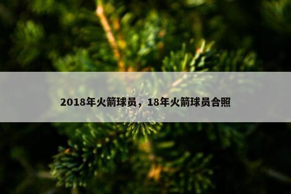 2018年火箭球员，18年火箭球员合照