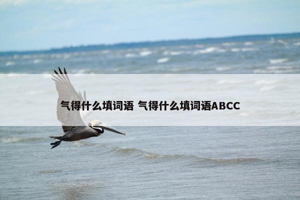 气得什么填词语 气得什么填词语ABCC