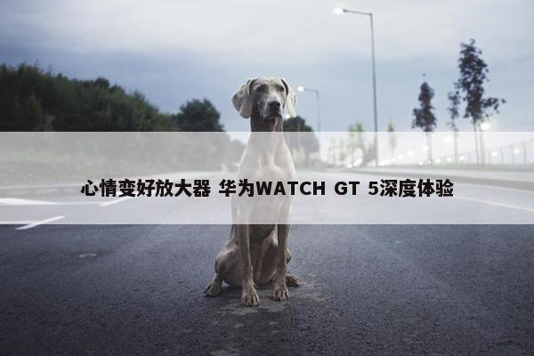 心情变好放大器 华为WATCH GT 5深度体验