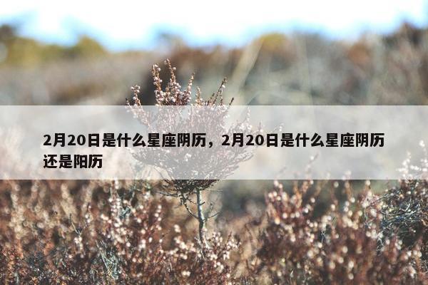 2月20日是什么星座阴历，2月20日是什么星座阴历还是阳历