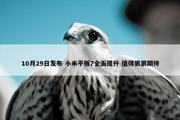 10月29日发布 小米平板7全面提升 值得狠狠期待