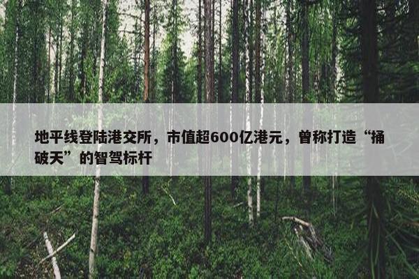 地平线登陆港交所，市值超600亿港元，曾称打造“捅破天”的智驾标杆