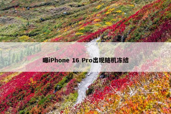 曝iPhone 16 Pro出现随机冻结