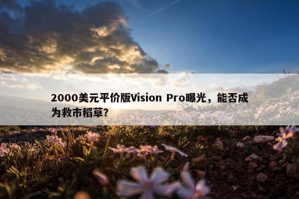 2000美元平价版Vision Pro曝光，能否成为救市稻草？