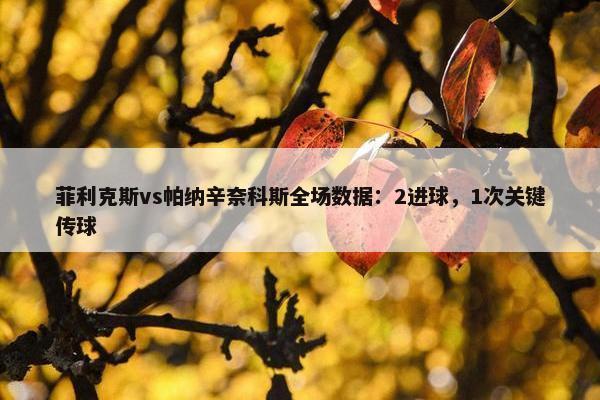 菲利克斯vs帕纳辛奈科斯全场数据：2进球，1次关键传球