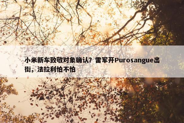 小米新车致敬对象确认？雷军开Purosangue出街，法拉利怕不怕