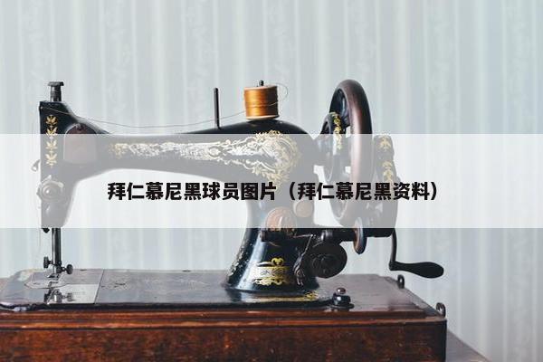 拜仁慕尼黑球员图片（拜仁慕尼黑资料）