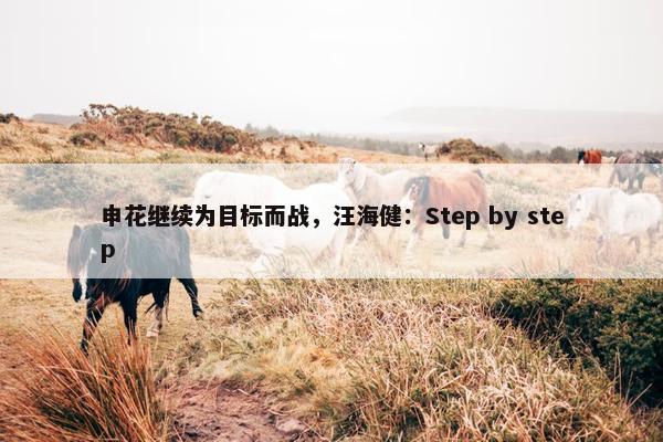 申花继续为目标而战，汪海健：Step by step