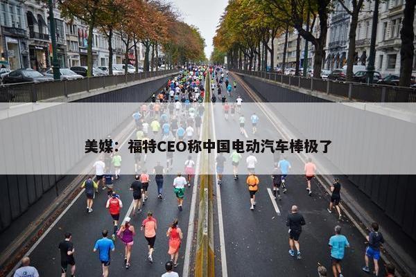 美媒：福特CEO称中国电动汽车棒极了