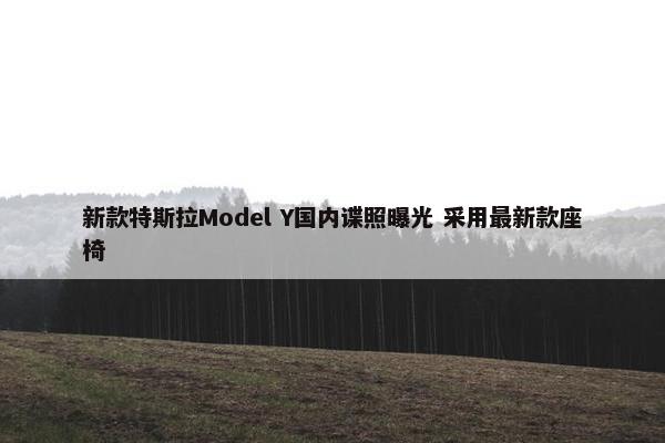 新款特斯拉Model Y国内谍照曝光 采用最新款座椅