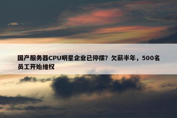 国产服务器CPU明星企业已停摆？欠薪半年，500名员工开始维权