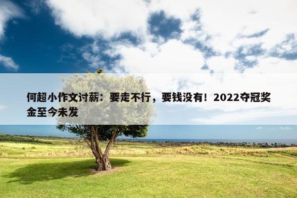 何超小作文讨薪：要走不行，要钱没有！2022夺冠奖金至今未发