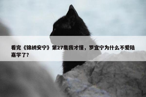 看完《锦绣安宁》第27集我才懂，罗宜宁为什么不爱陆嘉学了？