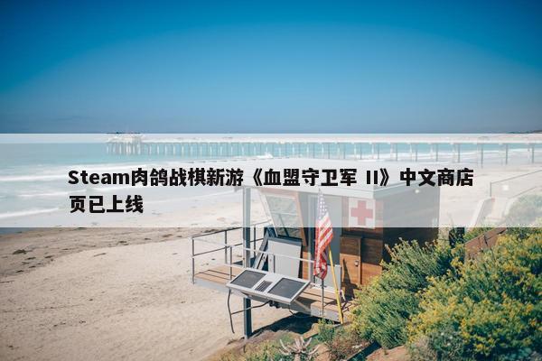 Steam肉鸽战棋新游《血盟守卫军 II》中文商店页已上线