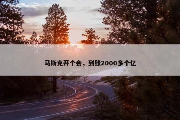 马斯克开个会，到账2000多个亿