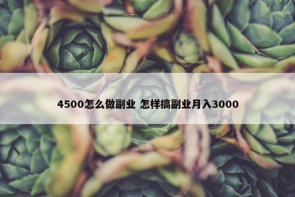 4500怎么做副业 怎样搞副业月入3000