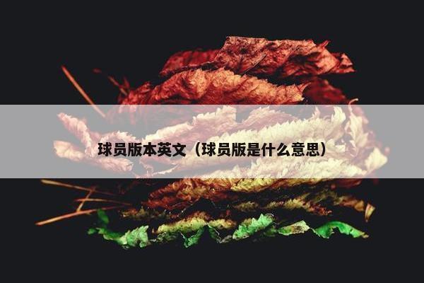 球员版本英文（球员版是什么意思）