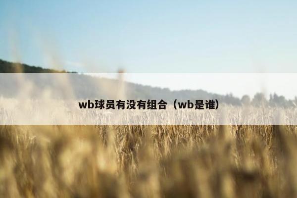 wb球员有没有组合（wb是谁）