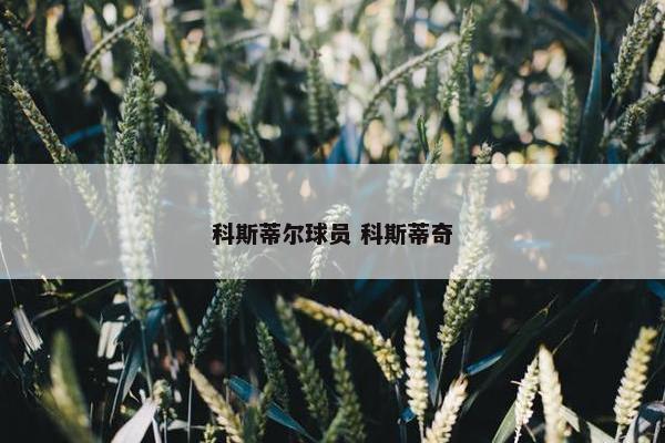 科斯蒂尔球员 科斯蒂奇