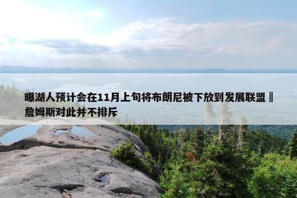 曝湖人预计会在11月上旬将布朗尼被下放到发展联盟 詹姆斯对此并不排斥