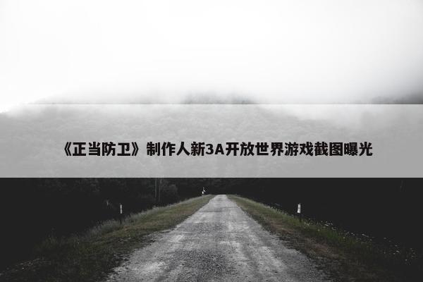 《正当防卫》制作人新3A开放世界游戏截图曝光