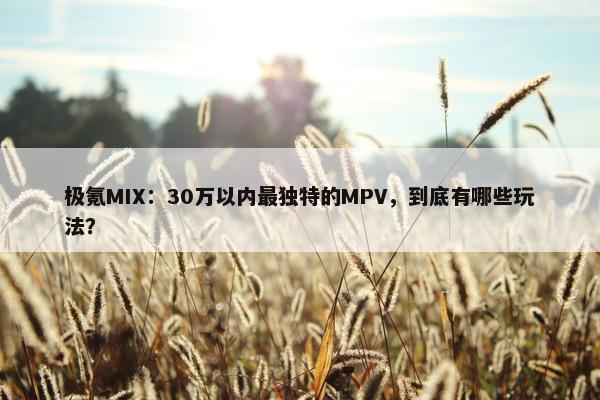 极氪MIX：30万以内最独特的MPV，到底有哪些玩法？