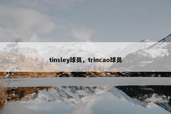 tinsley球员，trincao球员