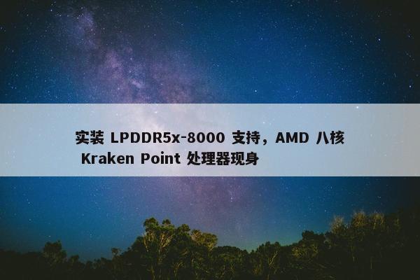 实装 LPDDR5x-8000 支持，AMD 八核 Kraken Point 处理器现身