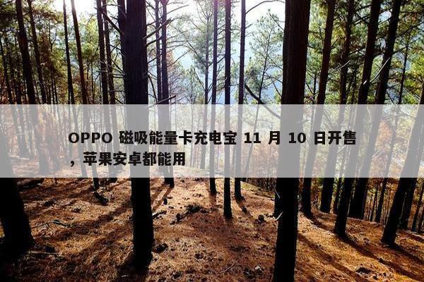 OPPO 磁吸能量卡充电宝 11 月 10 日开售，苹果安卓都能用