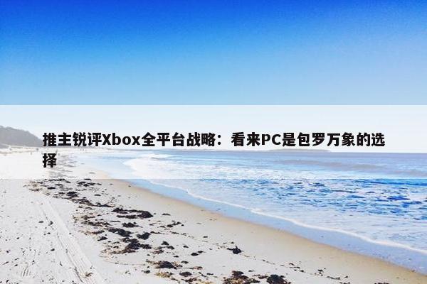 推主锐评Xbox全平台战略：看来PC是包罗万象的选择