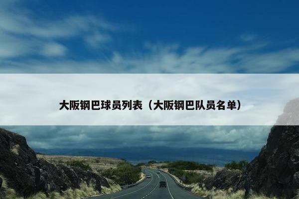 大阪钢巴球员列表（大阪钢巴队员名单）