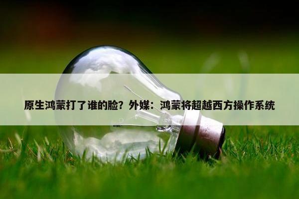 原生鸿蒙打了谁的脸？外媒：鸿蒙将超越西方操作系统