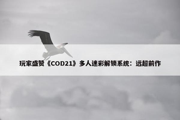 玩家盛赞《COD21》多人迷彩解锁系统：远超前作