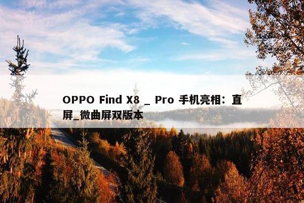 OPPO Find X8 _ Pro 手机亮相：直屏_微曲屏双版本