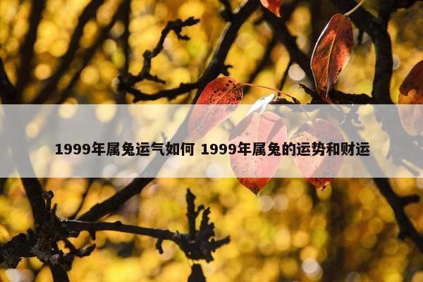 1999年属兔运气如何 1999年属兔的运势和财运