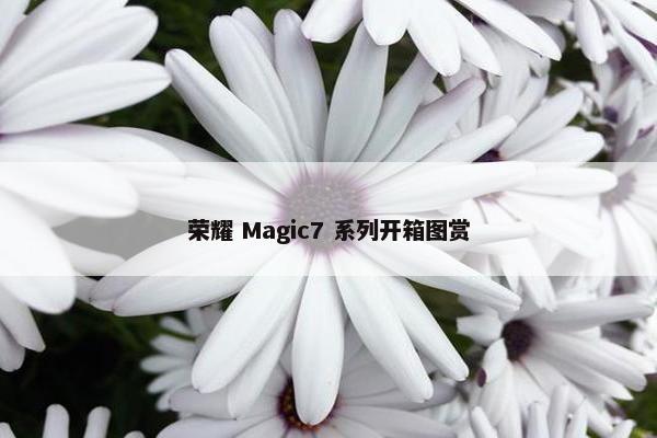 荣耀 Magic7 系列开箱图赏