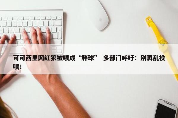 可可西里网红狼被喂成“胖球” 多部门呼吁：别再乱投喂！