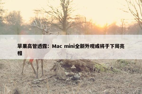 苹果高管透露：Mac mini全新外观或将于下周亮相