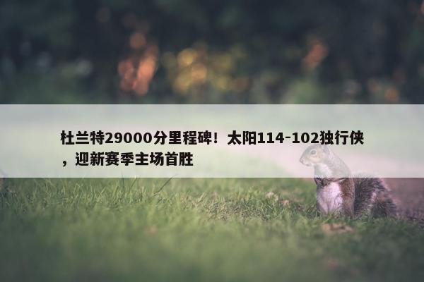 杜兰特29000分里程碑！太阳114-102独行侠，迎新赛季主场首胜