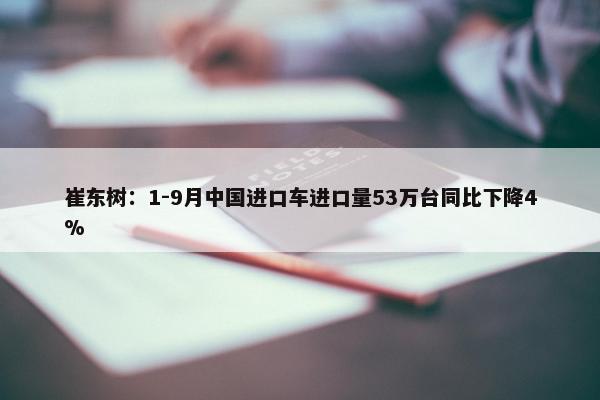 崔东树：1-9月中国进口车进口量53万台同比下降4%