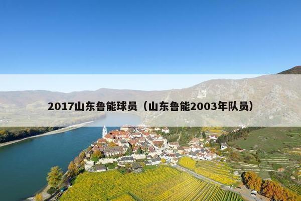 2017山东鲁能球员（山东鲁能2003年队员）