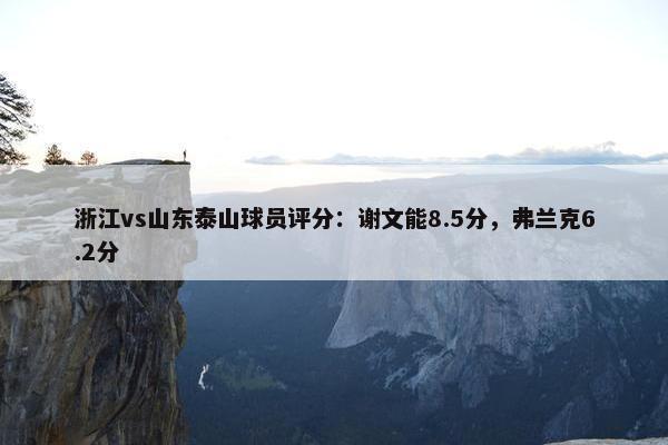 浙江vs山东泰山球员评分：谢文能8.5分，弗兰克6.2分