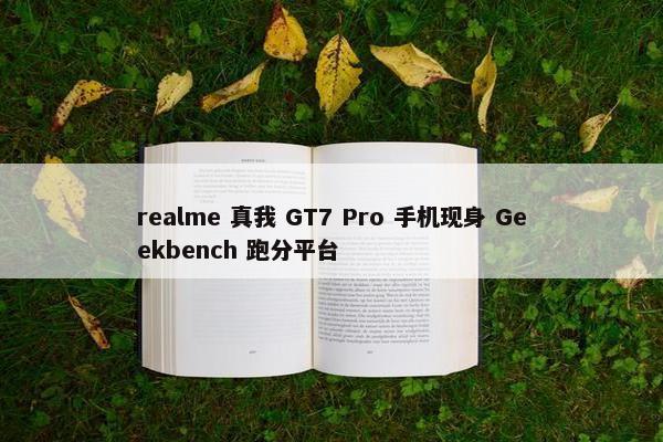 realme 真我 GT7 Pro 手机现身 Geekbench 跑分平台