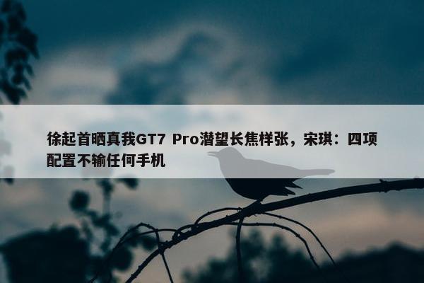 徐起首晒真我GT7 Pro潜望长焦样张，宋琪：四项配置不输任何手机