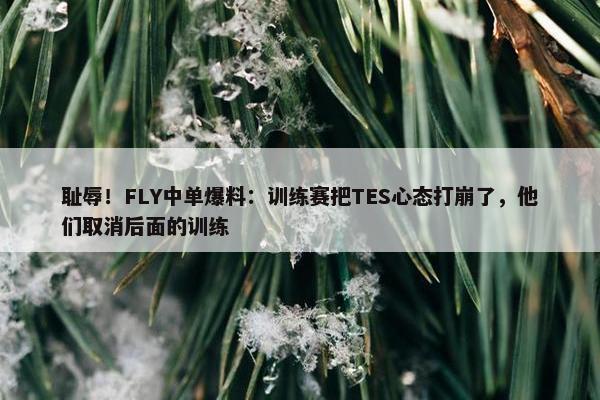 耻辱！FLY中单爆料：训练赛把TES心态打崩了，他们取消后面的训练