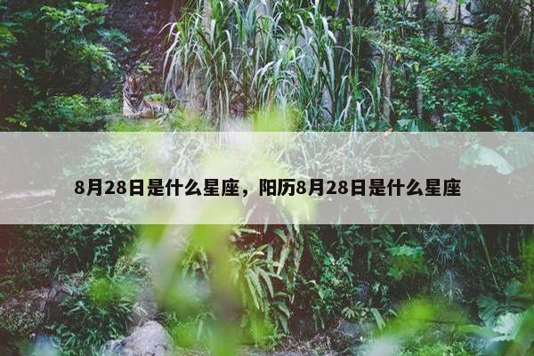 8月28日是什么星座，阳历8月28日是什么星座